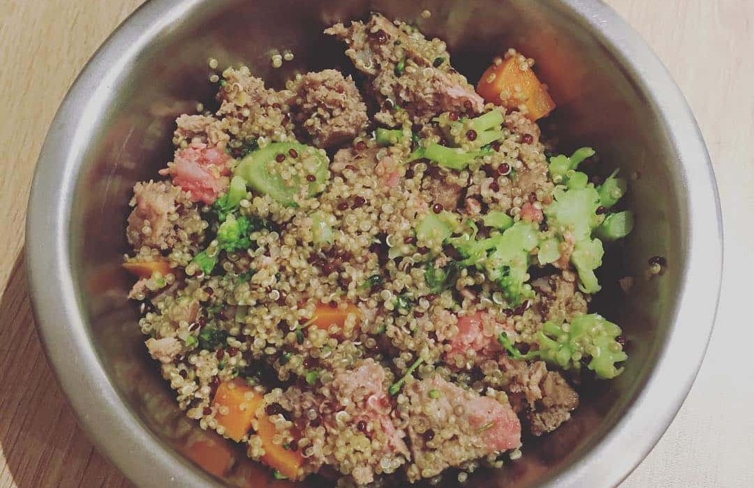 Recette pour chien au boeuf, quinoa et aux légumes