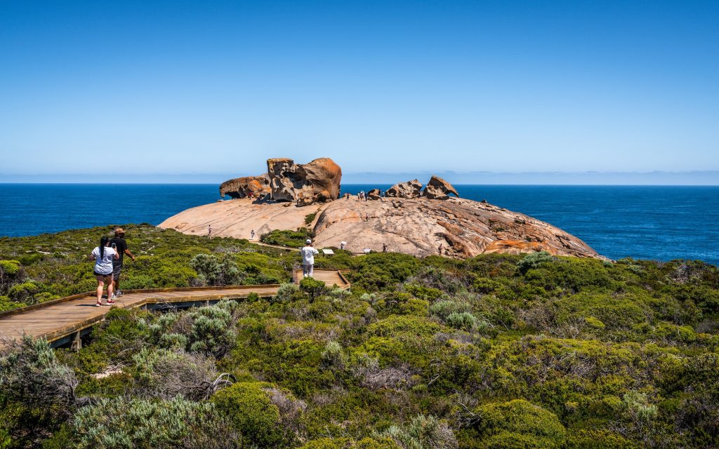 L'Île kangourou