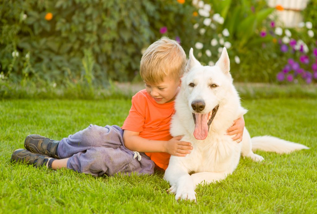 Berger Blanc suisse avec un enfant