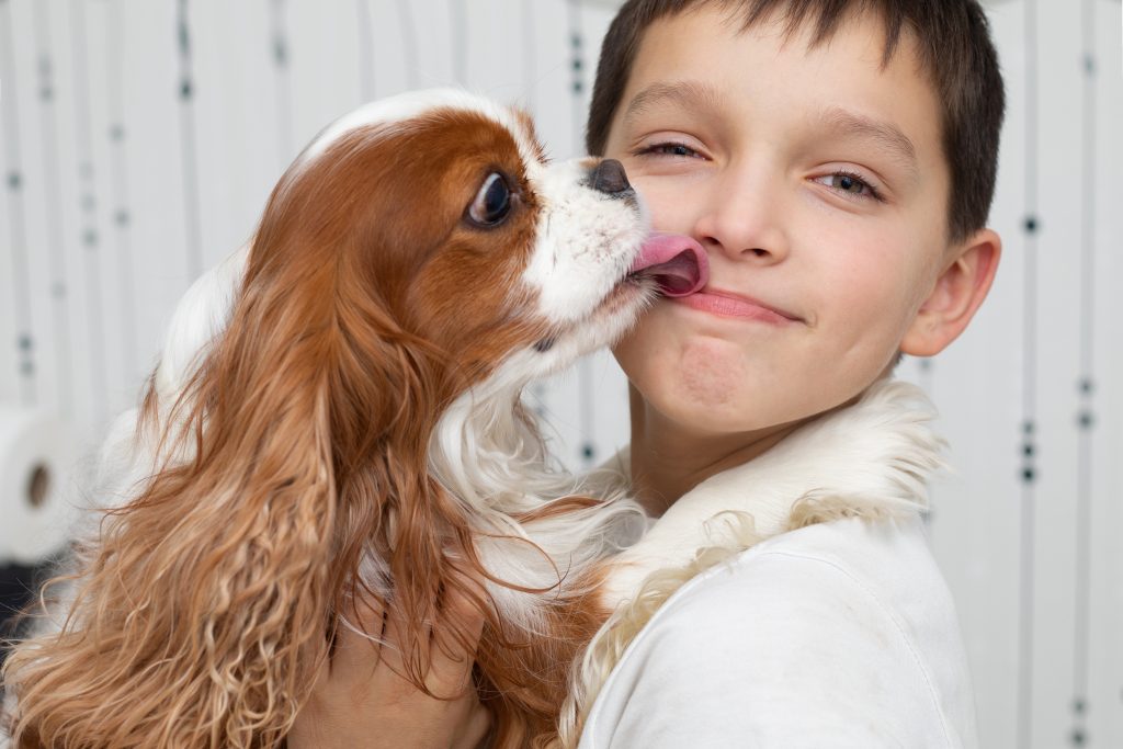 Cavalier king charles avec enfant