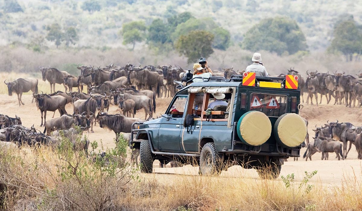 Kenya : Quels Animaux voir durant votre voyage ?