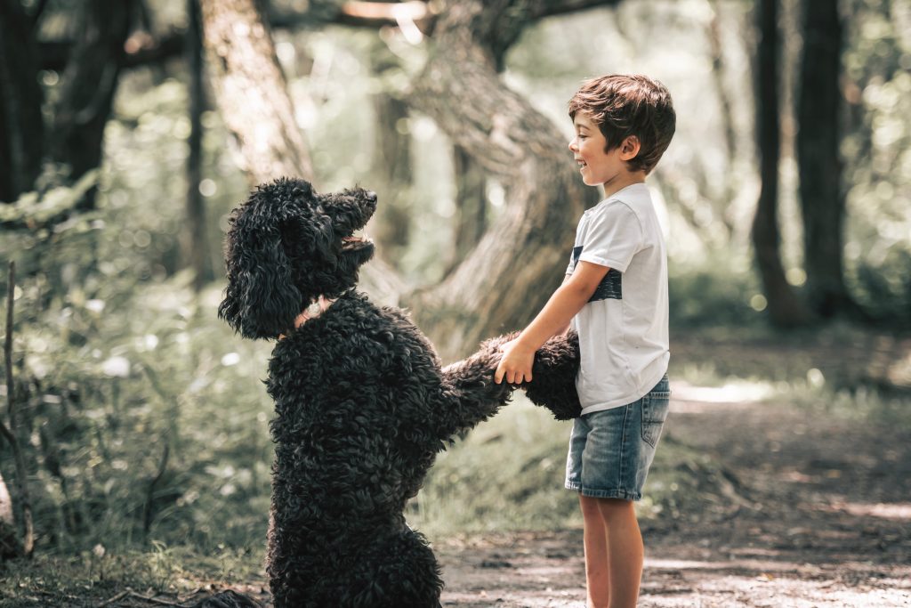 Goldendoodle avec enfant dans un parc