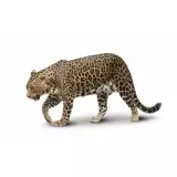 Photo Jaguar
