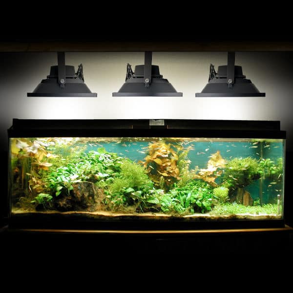 🥇 ᐅ Le meilleur éclairage LED pour aquarium en 2024 ! - 🐠 Mon aquarium